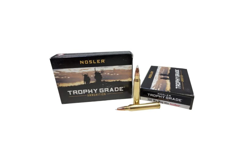 nosler 300 win mag trophy 180 grain accubond